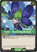 Vaelet – Bewitching Blossom