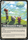 The Adventure Begins